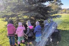 IMG_20251020_100816543_HDR_AE