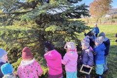 IMG_20251020_100822998_HDR_AE