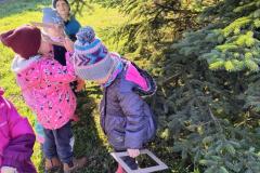 IMG_20251020_100841143_HDR_AE