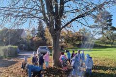 IMG_20251020_100950896_HDR_AE