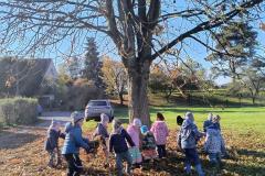 IMG_20251020_100952955_HDR_AE