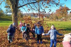 IMG_20251020_101019941_AE