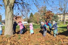 IMG_20251020_101019_1