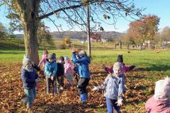 IMG_20251020_101020676_AE