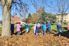 IMG_20251020_101020_1