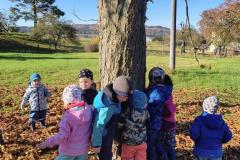 IMG_20251020_101125256_HDR_AE