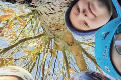 IMG_20251020_101140328_HDR_AE