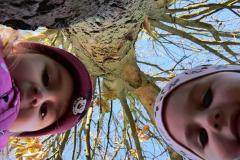 IMG_20251020_101156775_HDR_AE