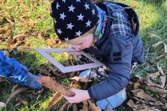 IMG_20251020_101543465_HDR_AE