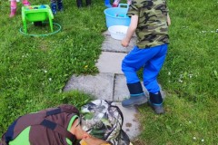 IMG_20210601_100853