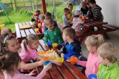 IMG_20210601_103057