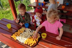 IMG_20210601_104331