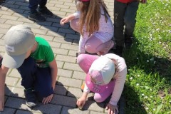 IMG_20220601_105346