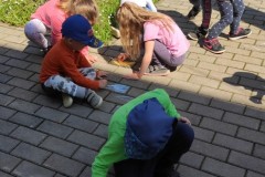 IMG_20220601_105431