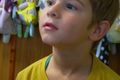 SAM_1609