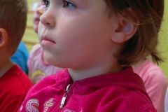 SAM_1611