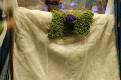 IMG-20201123-WA0047