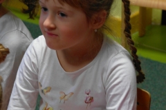 SAM_0919
