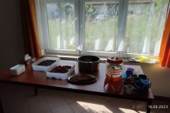 IMG_20230616_095738