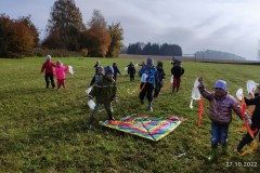 IMG_20221027_102639