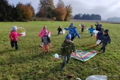 IMG_20221027_102641