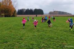 IMG_20241029_102629