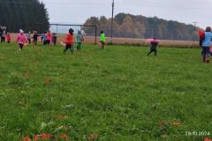 IMG_20241029_102721