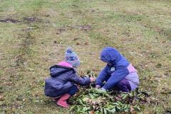 IMG_20251024_103117310_HDR_AE