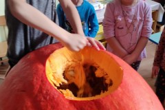 IMG_20211022_100121