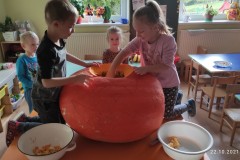 IMG_20211022_100155