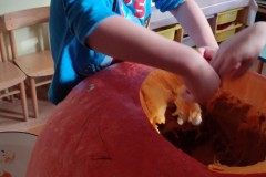 IMG_20211022_100248