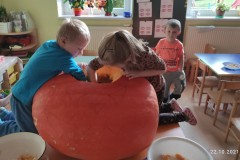 IMG_20211022_100253