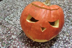 IMG_20221024_072606