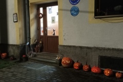 IMG_20221026_055000