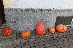 IMG_20241022_073424