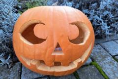 IMG_20251020_112131107_AE