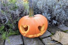 IMG_20251020_112141613_AE