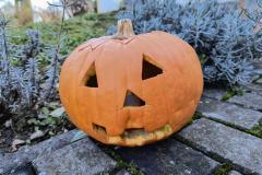 IMG_20251020_112158501_HDR_AE