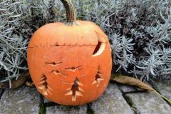 IMG_20251021_102515951_AE