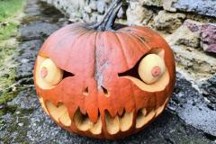 IMG_20251022_082125540_HDR_AE