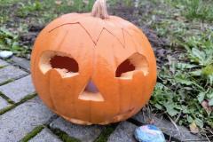 IMG_20251022_082210734_AE