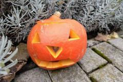 IMG_20251022_082215352_AE