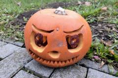 IMG_20251022_082220395_AE