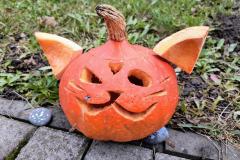 IMG_20251022_082235359_AE