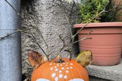 IMG_20251022_111404332_HDR_AE