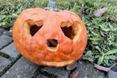 IMG_20251023_111706294_AE