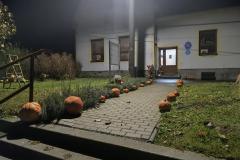 IMG_20251024_055251098