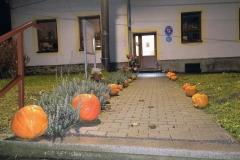 IMG_20251024_055316358_AE