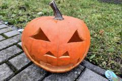 IMG_20251024_111158148_AE