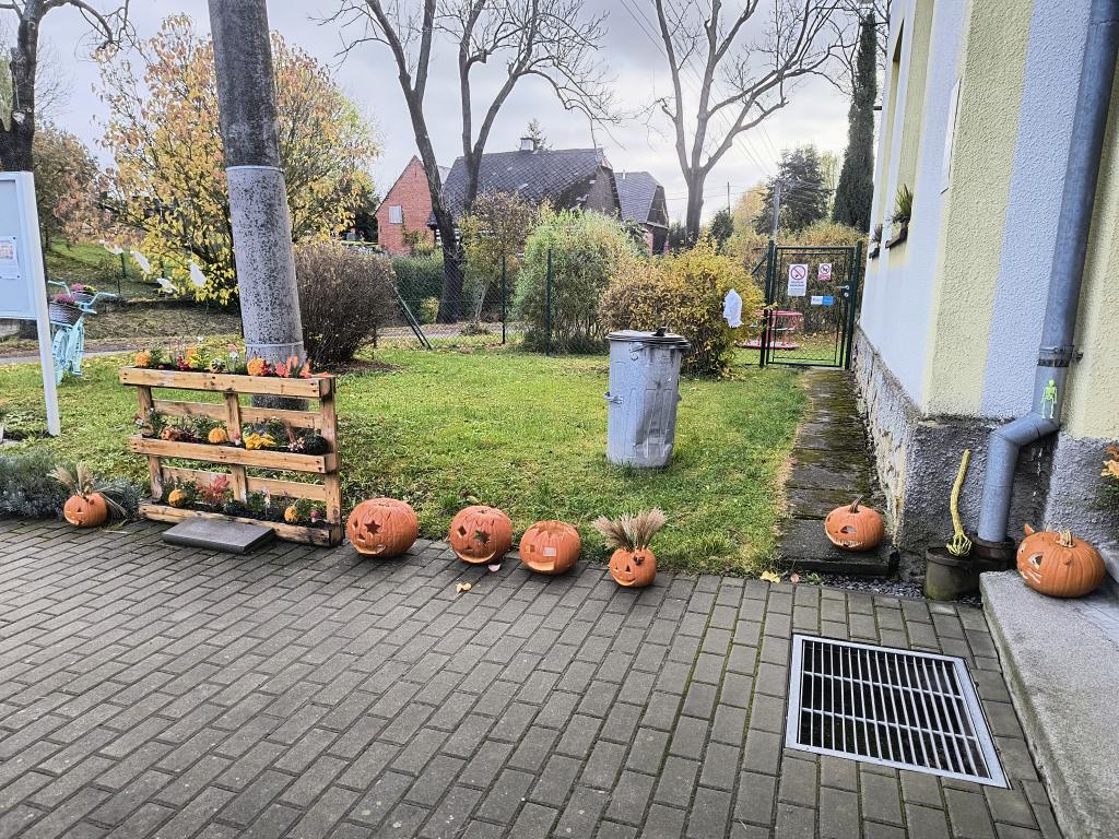 IMG_20261026_080918448_HDR_AE